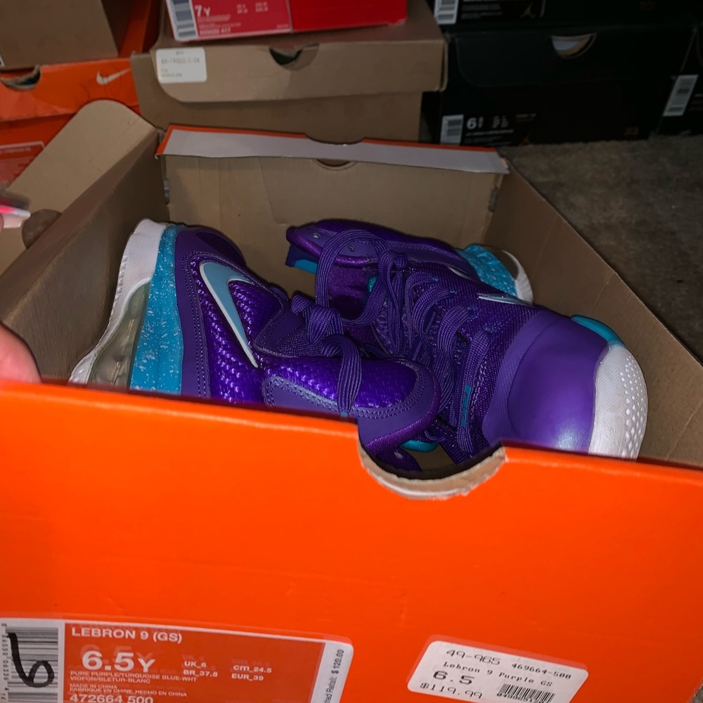 Charlotte hornets Lebron 9s